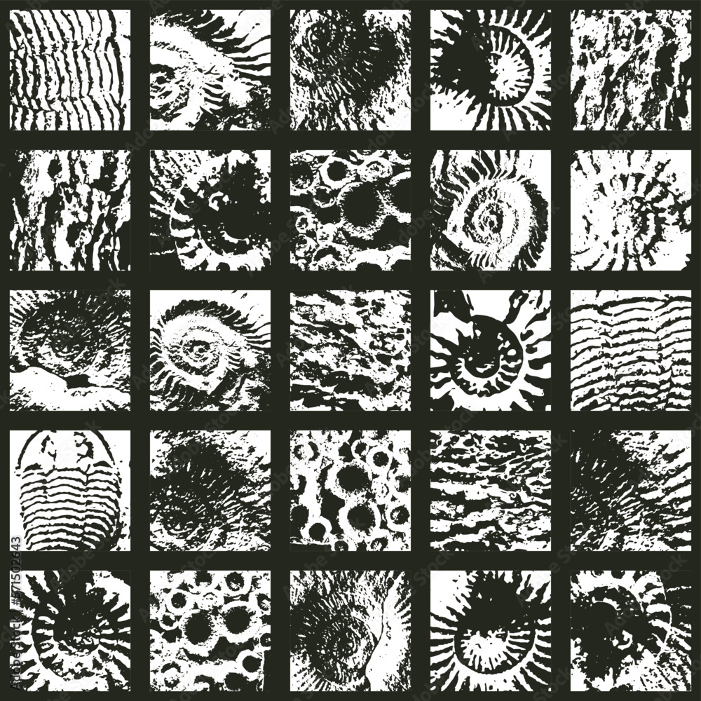 Aufkleber vector abstact seamless pattern background with sea stone texture with imprints of ancient ammonite 