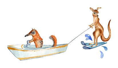 Cartoon anteater on boat and kangaroo has water skiing watercolor illustration isolated on white. Cute Australian animals hand drawn. Design element for print, wallpaper, childish sticker, poster - obrazy, fototapety, plakaty