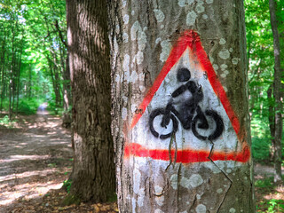 cyclist icon painted with paint on a tree in the forest