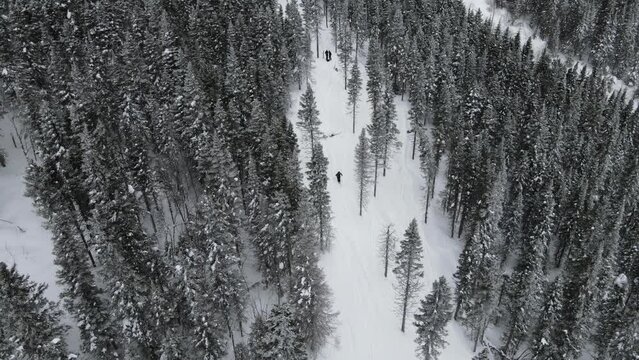 Free skiing in Mt. Edouard Canada
