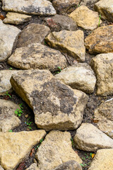 Obraz premium Ścieżka utworzona z dużych płaskich kamieni ułożonych jeden przy drugim obok siebie