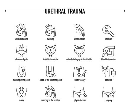 Urethral Trauma symptoms, diagnostic and treatment vector icon set. Line editable medical icons.