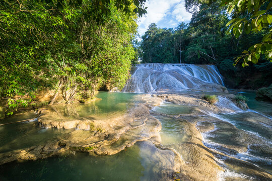 Roberto barrios waterfall in the forest mexico chiapas 