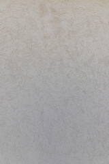 Wall made with gray graffiti. Vertical photo.