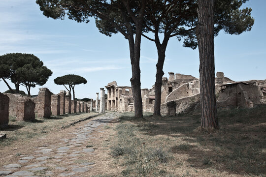 via appia - roman road landscape with trees and ruins