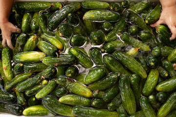 green cucumbers