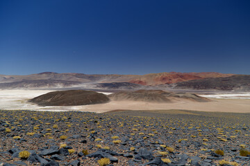 Landscape on the Antofalla Salar, Argentina