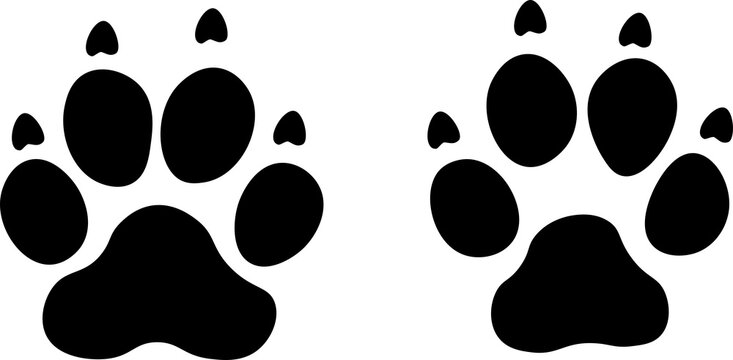 Hundespur Pfoten Abdruck Vektorgrafik Haustier Hund