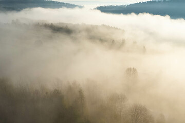 Fog covers the mountain forest. Mountain inversion. Highlands under the fog. Foggy sunrise in the...