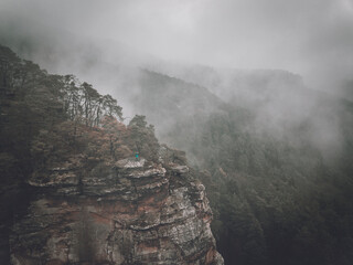 Mystical cloudy autumn forest germany