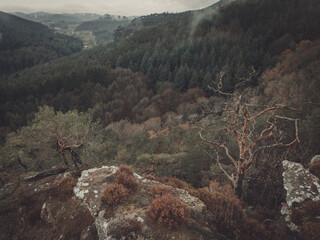 Rheinland Pfalz, sch&ouml;ne Orte im pf&auml;lzer wald, Deutschland