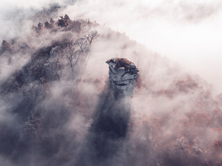 Mystical cloudy autumn forest germany