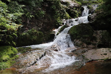 山あいの清流