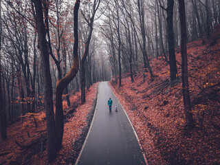 man and his dog hike at a road in the forest autumn season indian summer