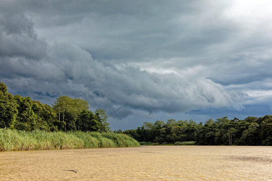 Fluss im Dschungel von Borneo - Malaysia