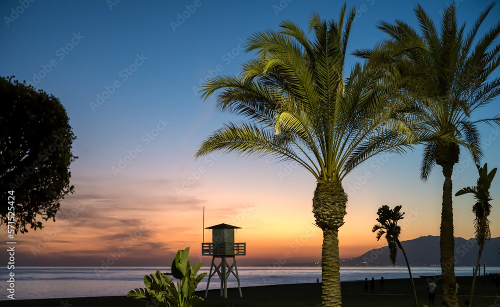 Poster Sunset view of a Mediterranean beach in Cala del Moral in Malaga, southern Spain, with lush palm trees and silhouette of lifeguard tower.