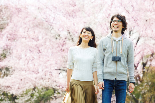 桜の木の下を歩くカップル