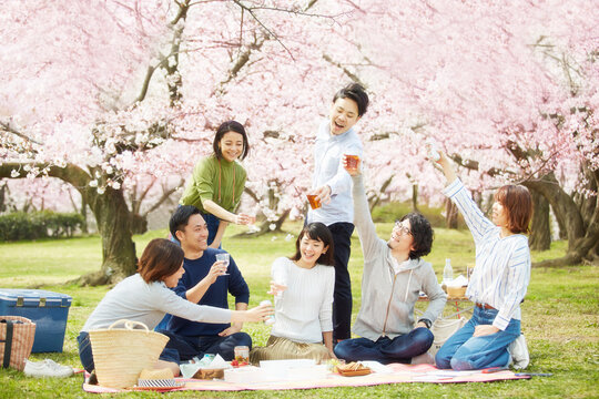 お花見をする男女7人