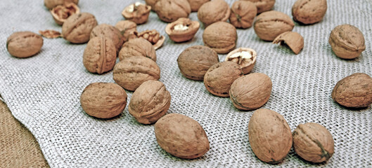 whole nuts and halves scattered on gray burlap. nut harvest