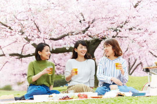 お花見をする女性3人