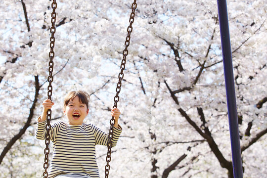桜をバックにブランコをする女の子