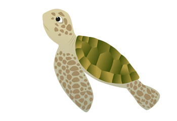 Sea turtle isolated vector illustration design