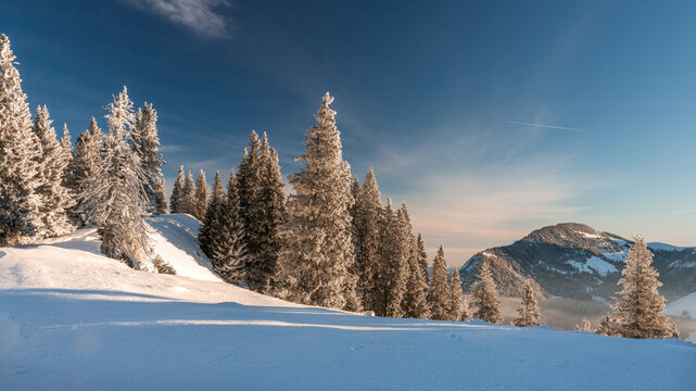 Winter landscape picture from tannheimer valley mountain pirschling and schönkahler with fresh snow