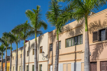 Fototapeta premium Paseo de palmeras y casas en la ciudad turística del Puerto de la Cruz en la costa norte de Tenerife, Canarias