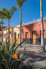 Viviendas y paseo de palmeras en la ciudad turística del Puerto de la Cruz en la costa norte de Tenerife, Canarias