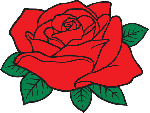 Red rose flower. Vector illustration.