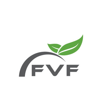 FVF letter nature logo design on white background. FVF creative initials letter leaf logo concept. FVF letter design.
