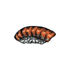 Sushi rolls japanese food chinese traditional cuisine rice fish salmon hand drawn set separately on white background unagi maki sticks  food menu Inscriptions in English sushi and rolls