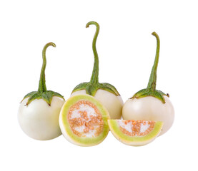 white eggplant on transparent png