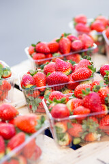 Local Market with Fresh Strawberries.  