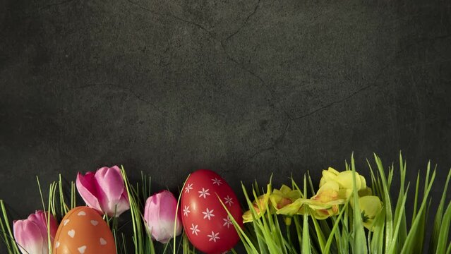 Colorful easter eggs with flowers and green grass. Easter eggs disappear on concrete background. Stop motion. Easter Holiday, egg hunting concept