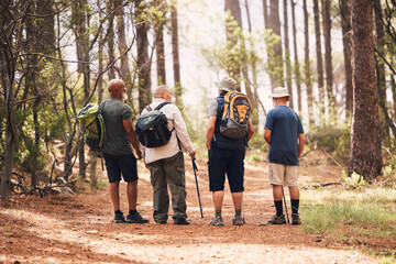 Hiking, fitness and group of friends in forest for adventure, freedom and sports on mountain trail. Travel, retirement and back of senior hikers for exercise wellness, trekking and cardio workout - obrazy, fototapety, plakaty