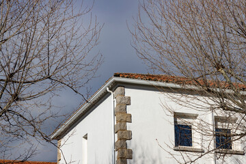 Building. White colored building next to some bare and leafless trees in the surroundings. Building corner.