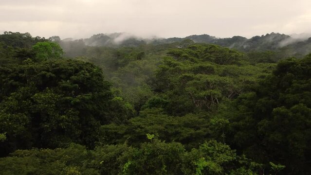 Drone shot flying over treetop canopy in Amazon rainforest in Brazil 