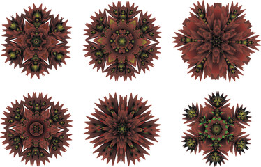 A set of decorative flowers, stars. Vector file for designs.