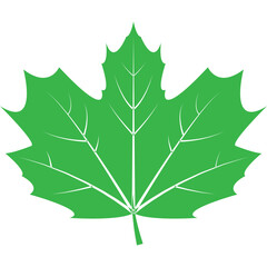 Green Leaf Element (10)