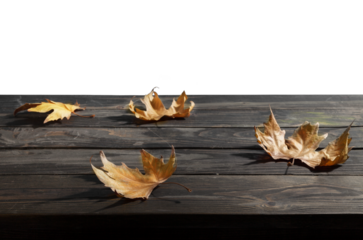Autumn leaf on black desk