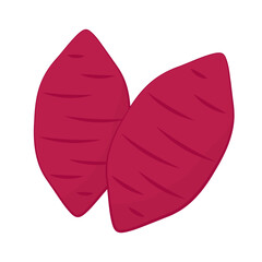Sweet potato. Organic healthy vegetable. Fresh natural root. Made in vector cartoon flat style. Roasted sweet potato. Japanese Sweet potato.
