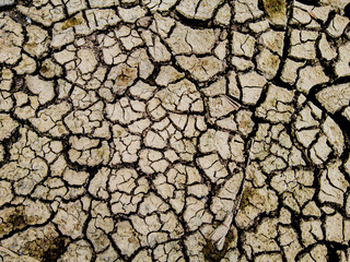 Cracked dry ground texture. Dry ground background