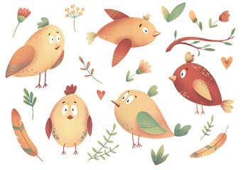 Set of cartoon funny birds. Warm colors of illustration for print. Flowers, branch, feathers clipart