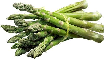 Bunch of Fresh Asparagus - Isolated