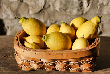 basket of freshly lemons in sunlight
