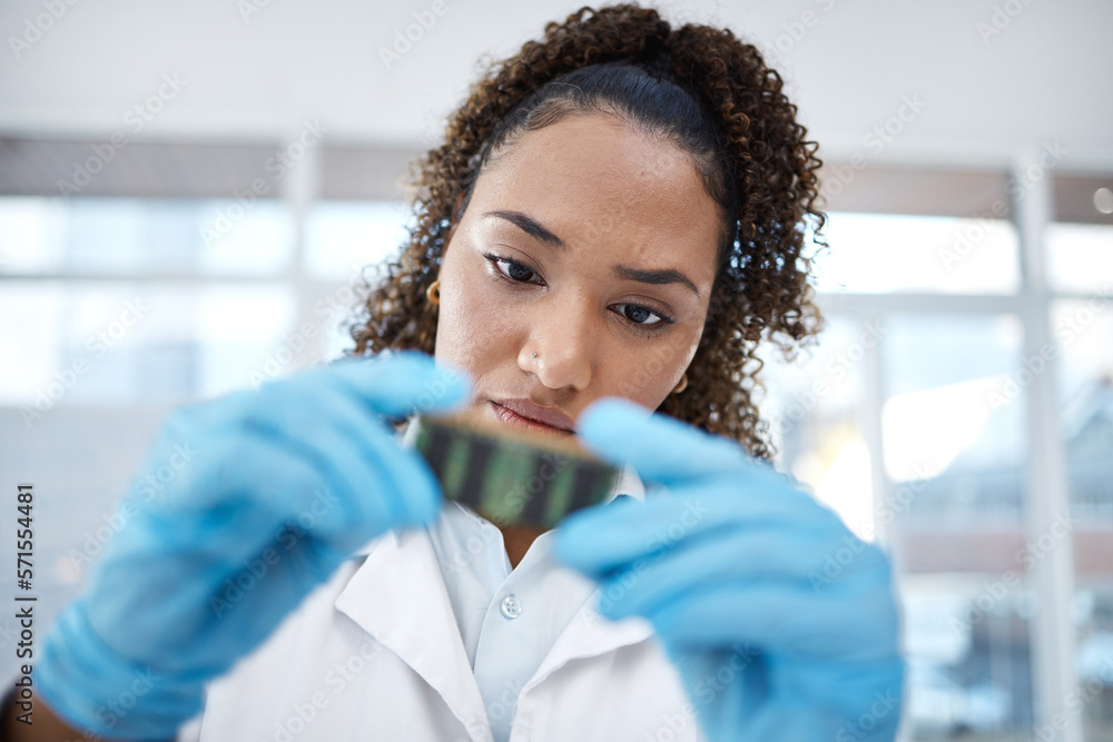 Poster Microchip, research and scientist looking at dna, digital analysis and investigation in a lab. Analytics, science and woman holding an engineering circuit for scientific experiment on electronics