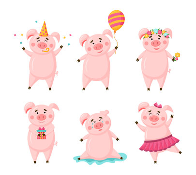 Vector set of pigs cute cartoon character in different poses isolated on white background. Collection piggy with birthday hat, pig with balloon, ballet tutu, gift, flowers