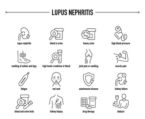 Lupus Nephritis symptoms, diagnostic and treatment vector icon set. Line editable medical icons.