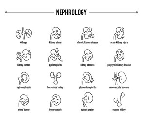 Common Nephrology  diseases vector icon set. Line editable medical icons.